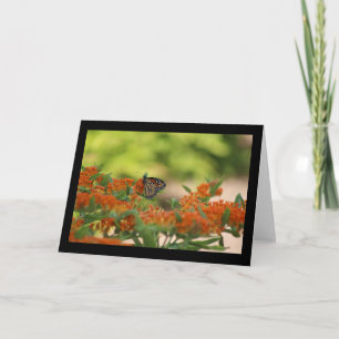 Tarjeta de mariposa monarca