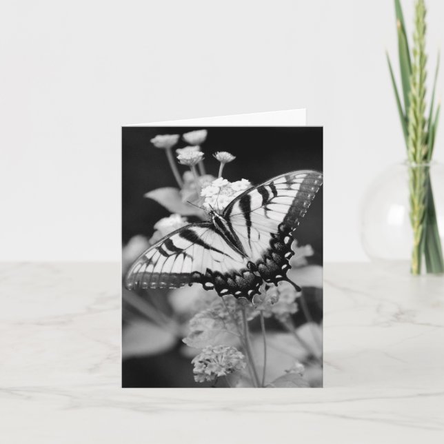 Tarjeta de mariposa monarca negra y blanca (Anverso)