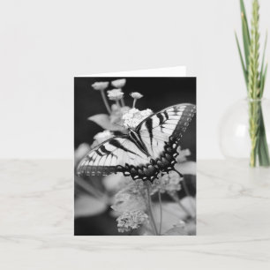 Tarjeta de mariposa monarca negra y blanca