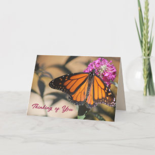 Tarjeta de Mariposa Monarca Pensando en Ti