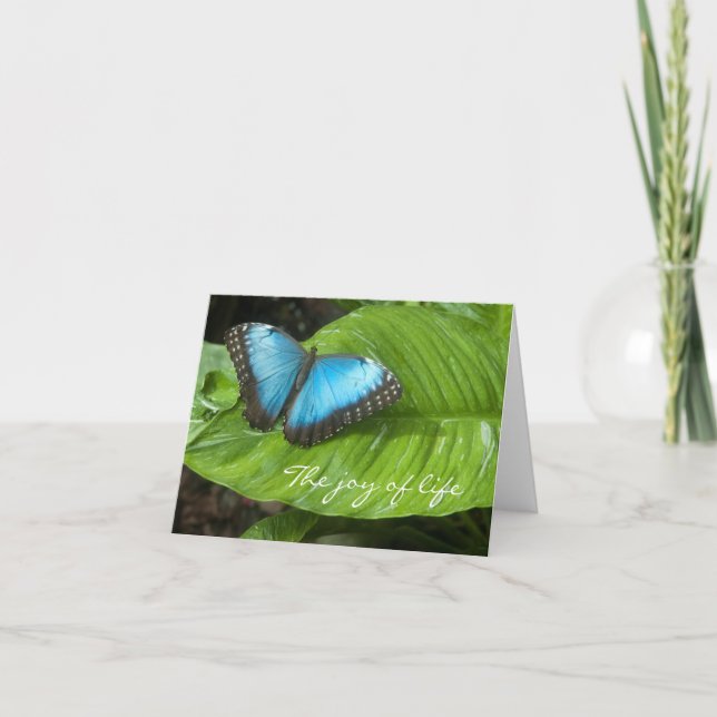 Tarjeta de mariposa morfo azul (Anverso)