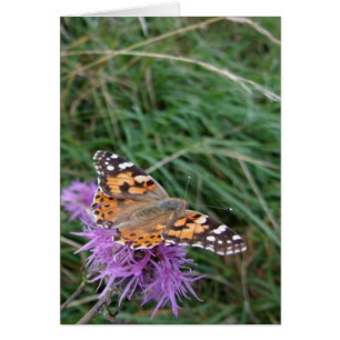 Tarjeta de mariposa naranja