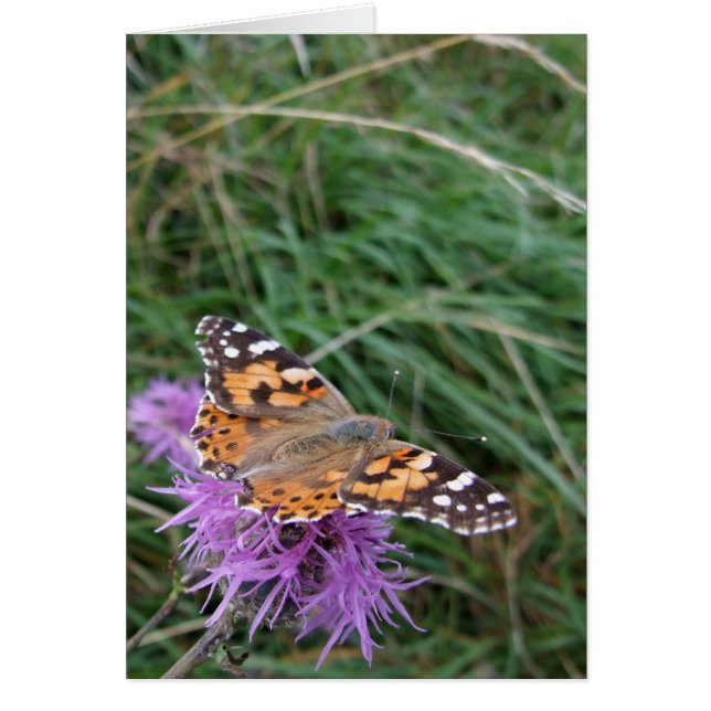 Tarjeta de mariposa naranja (Frente)