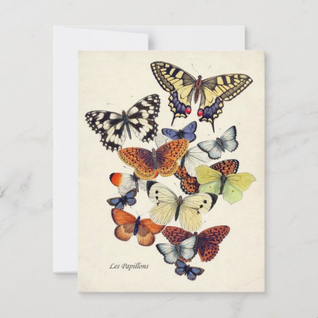 Tarjeta de mariposas vintage Garden (Anverso)