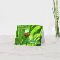 Tarjeta de mariquita - Pensando en ti