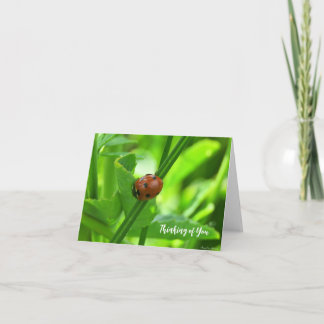 Tarjeta de Mariquita - Pensando en Ti