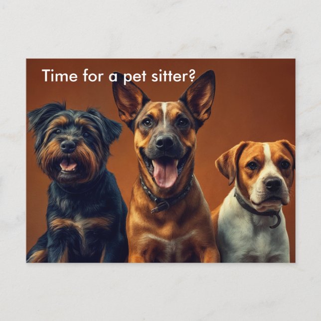 Tarjeta de marketing moderna para paseador de perr (Anverso)