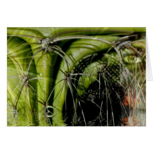 Tarjeta de Medicina Tribal (Anverso (Horizontal))