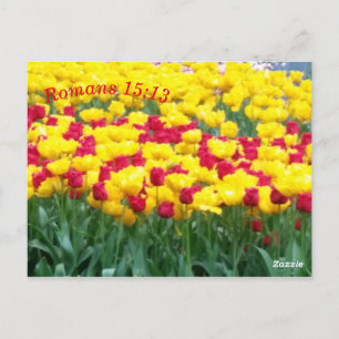 Tarjeta de Meditación de las Escrituras Romanos 15