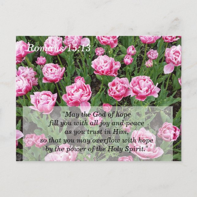 Tarjeta de Meditación y Memoria de las Escrituras (Anverso)