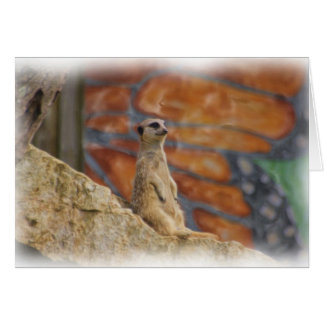 Tarjeta de Meerkat