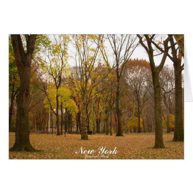 Tarjeta de memoria Personalizado Central Park para (Anverso (Horizontal))