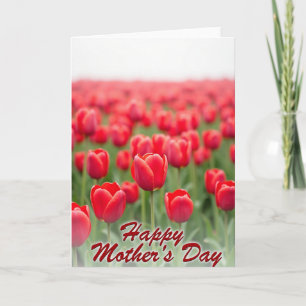 Tarjeta de Mensaje Crimson Bloom