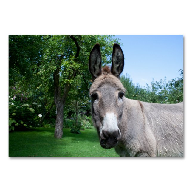 Tarjeta De Mesa Agradable retrato de burro (Anverso)