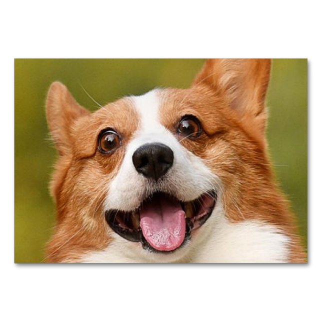 Tarjeta De Mesa Añadir foto de perro personalizada (Anverso)