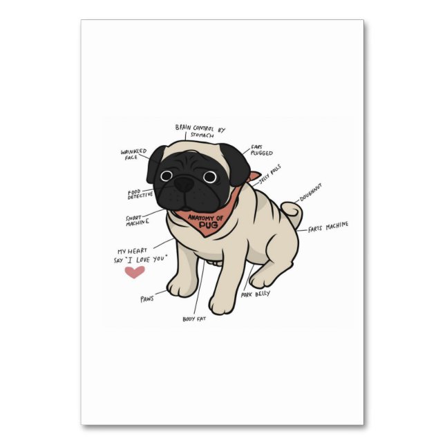 Tarjeta De Mesa Anatomía De La Gráfica De Perros De Pug (Anverso)