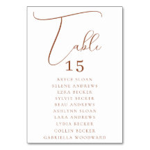 Asientos con Letra Elegante