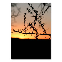 Tarjeta De Mesa Atardecer africano con espinosa silueta de árbol d