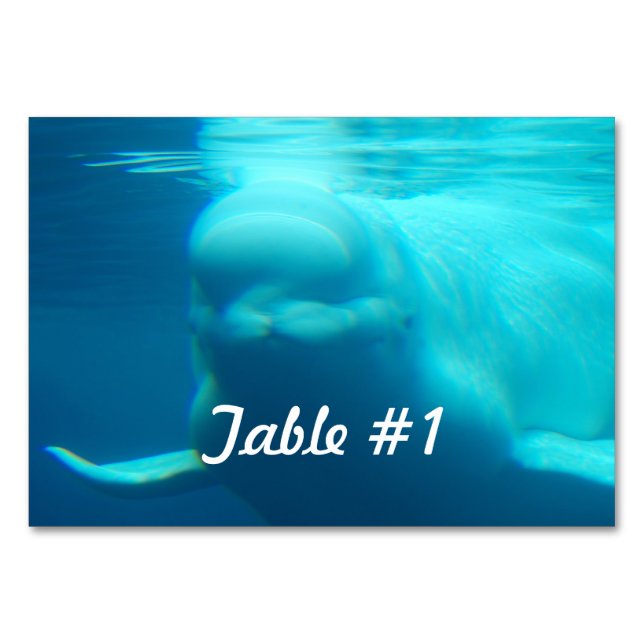 Tarjeta De Mesa Ballena Beluga subacuática (Anverso)