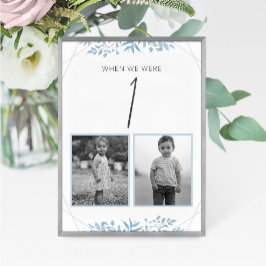 Tarjeta De Mesa Blue Eucalyptus Wedding Age Table Number Card
