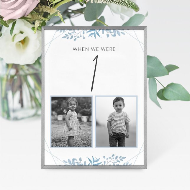 Tarjeta De Mesa Blue Eucalyptus Wedding Age Table Number Card (Subido por el creador)