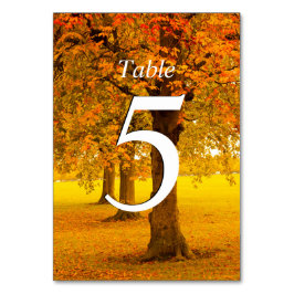 Tarjeta De Mesa Boda, árboles otoñales, numerados