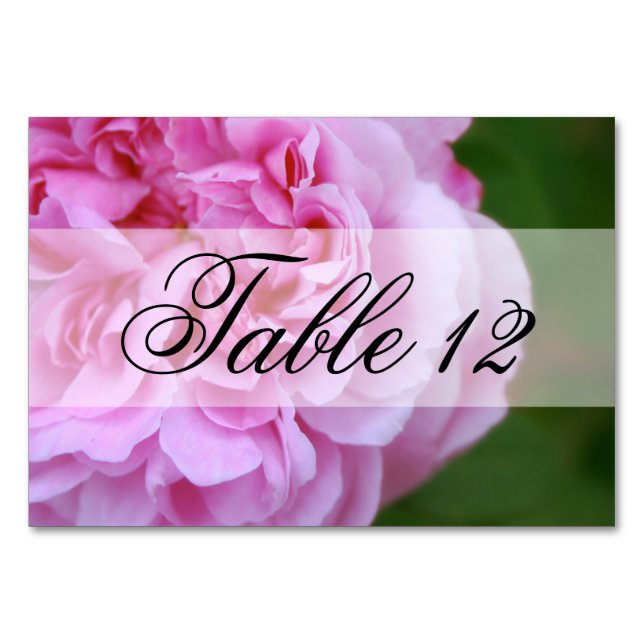 Tarjeta De Mesa Boda de cinta y camellia rosa (Anverso)