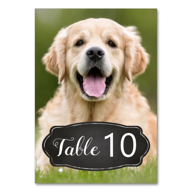 Tarjeta De Mesa Boda de fotografía moderna Rustic Chalkboard (Anverso)