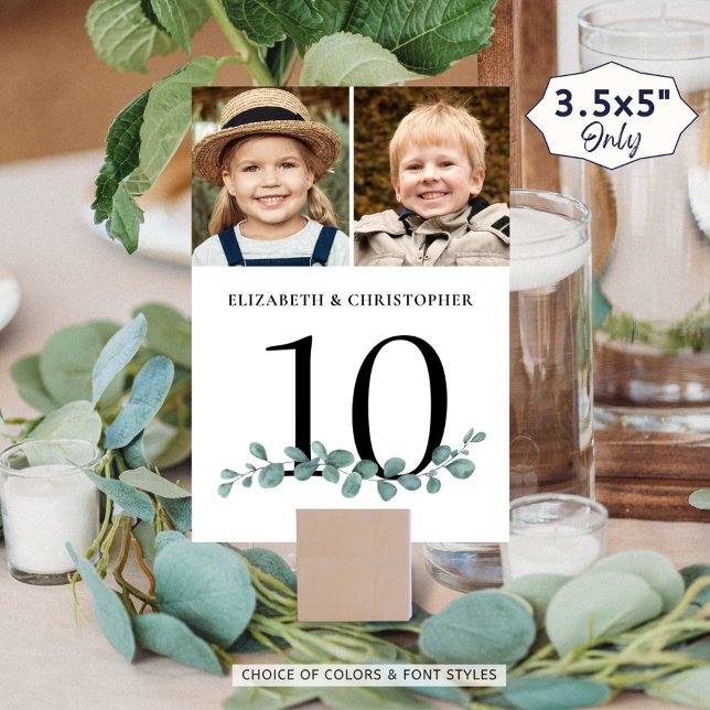 Tarjeta De Mesa Boda de fotos Eucalyptus Número de tabla Rótulo (Subido por el creador)