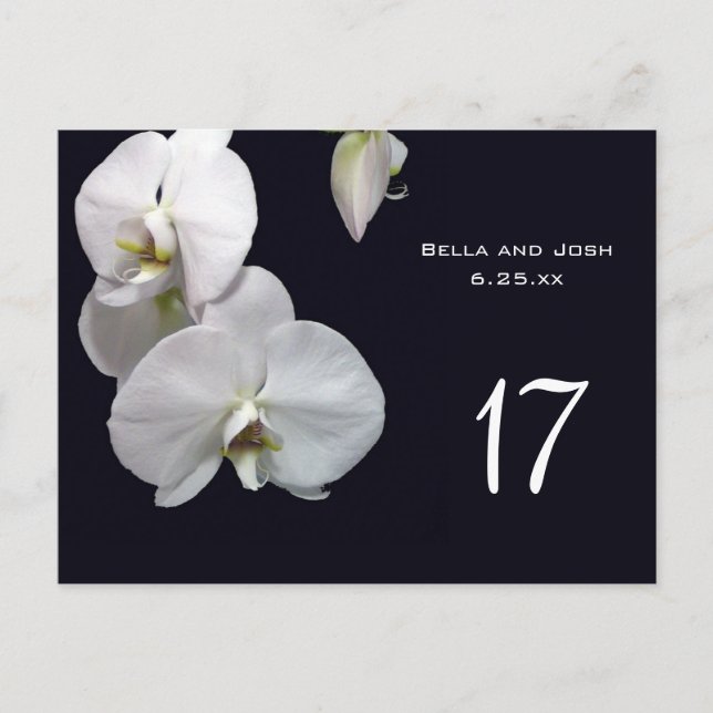 Tarjeta de mesa Boda de orquídeas blancas Postca (Anverso)
