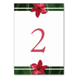 Tarjeta De Mesa Boda de Plumeria Frangipani Roja