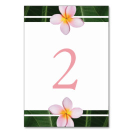 Tarjeta De Mesa Boda de Plumeria Rosa Frangipani