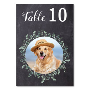 Tarjeta De Mesa Boda fotográfico moderno de Rustic Chalkboard Euca