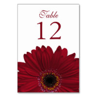 Boda Gerbera Daisy de color rojo profundo