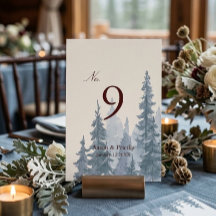 Boda invernal de naturaleza temperamental