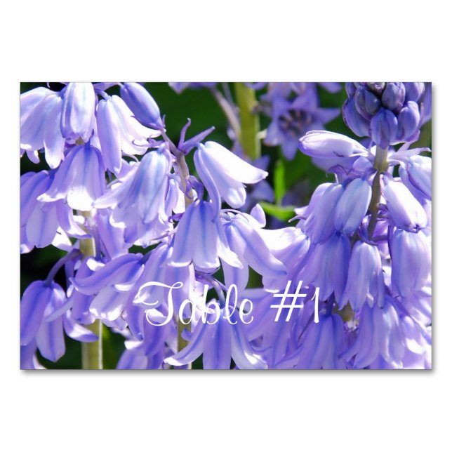 Tarjeta De Mesa Bonito Bell Flowers (Anverso)