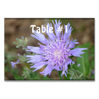 Tarjeta De Mesa Bonito Lavender Scabiosa
