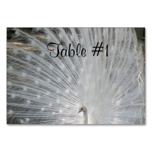 Tarjeta De Mesa Bonito Peafowl