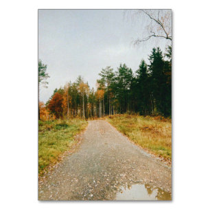 Tarjeta De Mesa Bosque otoñal sueco