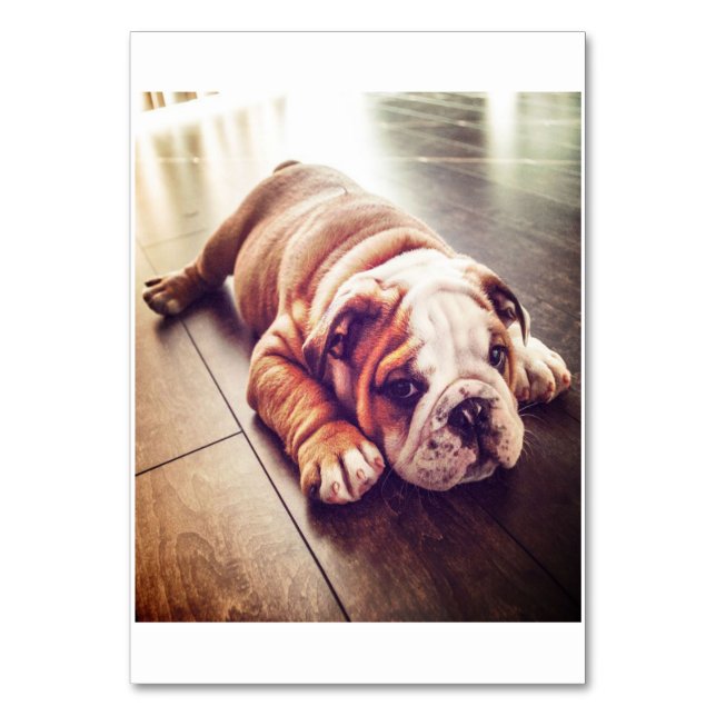 Tarjeta De Mesa Bulldog Inglés Ligero Perro | Foto de perro (Anverso)