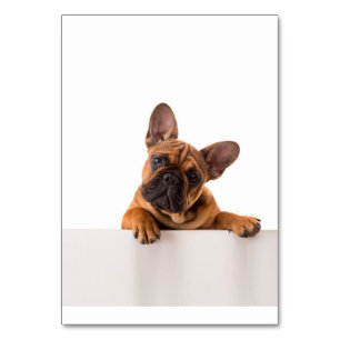 Tarjeta De Mesa Bulldog lindo   Bulldog inglés realmente lindo