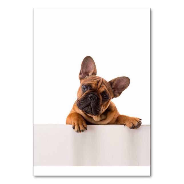 Tarjeta De Mesa Bulldog lindo | Bulldog inglés realmente lindo (Anverso)