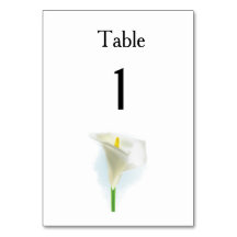 Cala Lily Modern Simple Elegante Ideas De Bodas