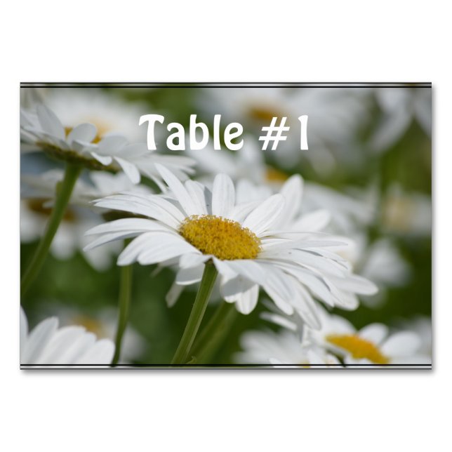 Tarjeta De Mesa Campo de Daisies (Anverso)