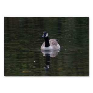 Tarjeta De Mesa Canada Goose