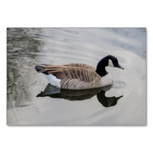 Tarjeta De Mesa Canada Goose
