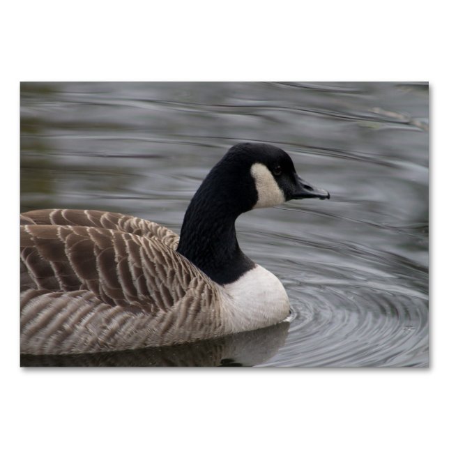 Tarjeta De Mesa Canada Goose (Anverso)