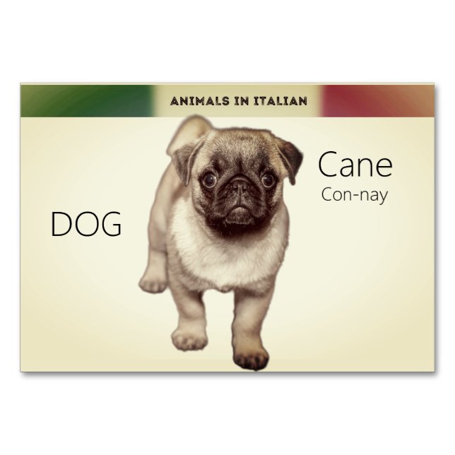 Tarjeta De Mesa Cartas en lengua italiana para animales de perro F (Anverso)