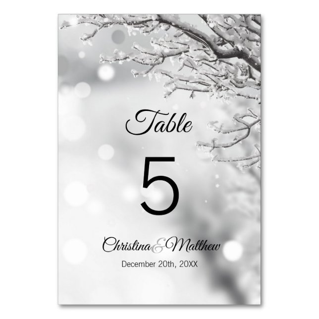 Tarjeta De Mesa Ceremonia de Boda de Nieve en Winter Wonderland (Anverso)