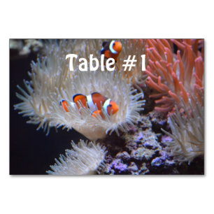 Tarjeta De Mesa Clownfish